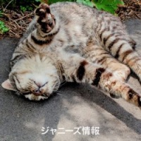 キムタク主演映画「無限の住人」が大コケ寸前の緊急事態！