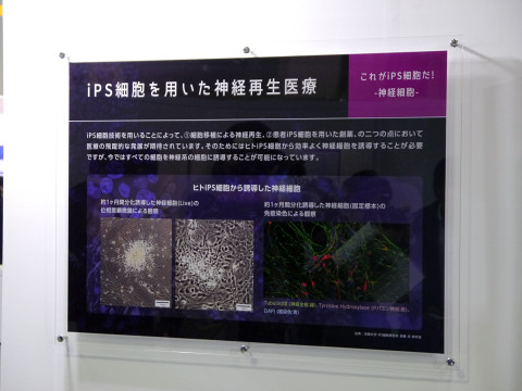 再生医療や新薬開発への期待が高まる「iPS細胞」の実物を見てきました