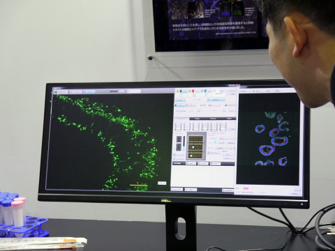 再生医療や新薬開発への期待が高まる「iPS細胞」の実物を見てきました