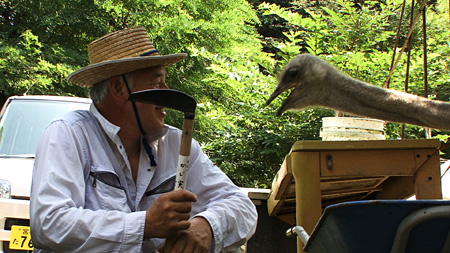 放射能汚染された町で動物と生きる男追うドキュメンタリー『ナオトひとりっきり』