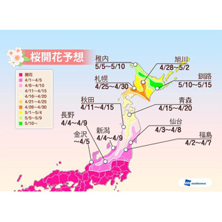 東京都は”花散らしの雨”に!? ウェザーニューズ、第五回桜開花予想発表