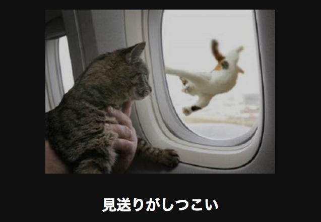 【厳選】電車で読んだら危険なネコ大喜利14選