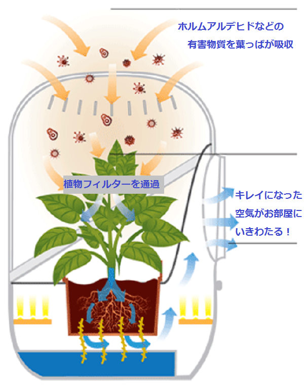 フィルター交換不要のナチュラル空気清浄器 「アンドレア」