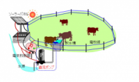 農業・食品産業技術総合研究機構 放牧家畜飲水の自動供給システムを開発