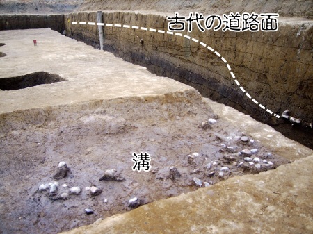平安時代の北陸道の遺構を発見　福井県内で初、道幅１２ｍ以上