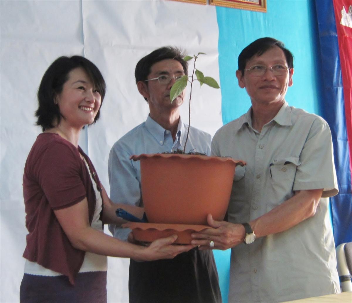【カンボジア】広島市立白島小学校から被爆樹木の苗を贈呈ーJICAカンボジア事務所