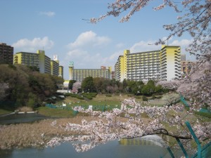 「賃貸リノベーションで地域活性」横浜国立大学大学院の学生と不動産業界のコラボプロジェクトに迫る！