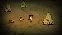 【GDC 2015】任天堂、Wii U向けに『Don’t Starve』『NEVER ALONE』『Octodad』など数多くのインディータイトルを発表