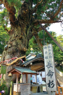 自分スタイルで気軽に体験　四国遍路へ出かけよう