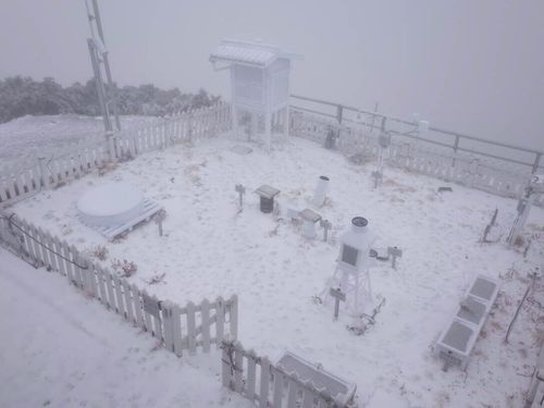 夏の兆しが一転、台湾最高峰・玉山でまた積雪