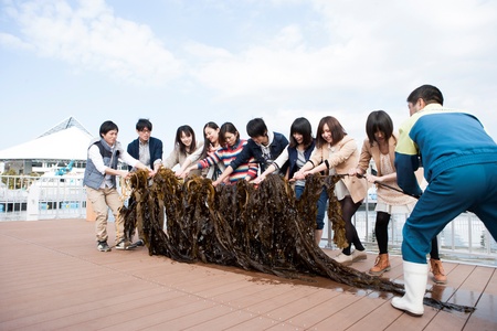 横浜・八景島シーパラダイス　自然の海の水族館「うみファーム」開業２周年！！　海育まつり