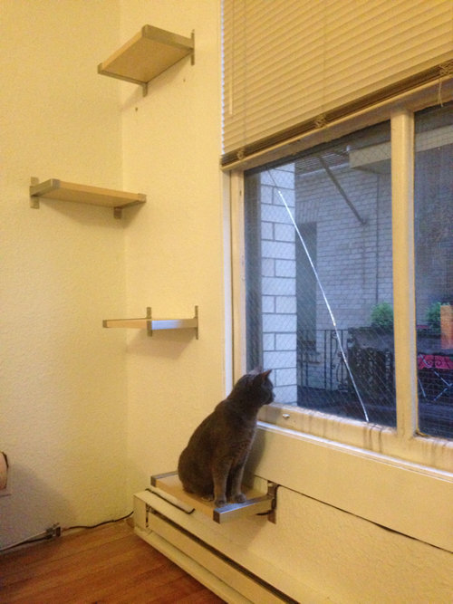 「猫のために窓の外がよく見える『ネコ棚』を作ってみた…すばらしい結果になった」