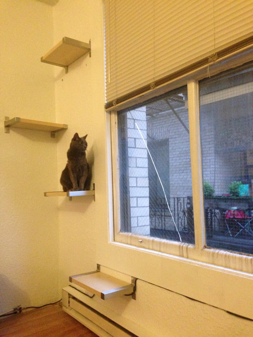 「猫のために窓の外がよく見える『ネコ棚』を作ってみた…すばらしい結果になった」