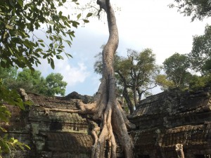 感動を味わって！カンボジア･神秘的な｢アンコール遺跡｣巡りの旅