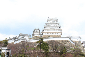 「白すぎる」姫路城、待望の一般公開