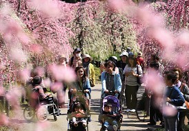 ＜天気＞各地でぽかぽか陽気　東京都心２０度超す