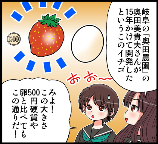 贅沢の1粒5万円のイチゴ～