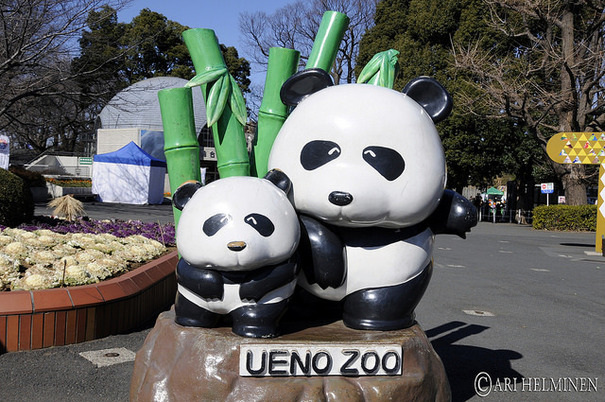 タダで入れる日もあるよ！　上野動物園特集