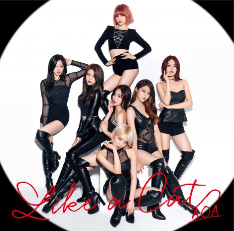 【オリコン】“おとなセクシー”AOAが4位　猫ダンスで初のTOP10入り