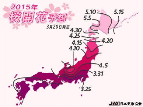 桜の開花、例年より早く？～一部エリアでは今週末に