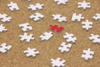 会社にも必要?「働かないアリ」の存在意義