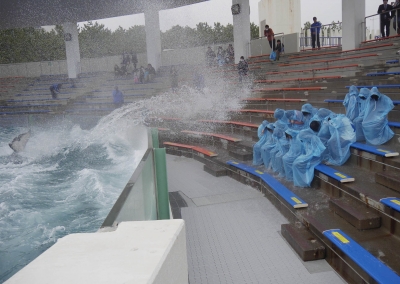 【鴨川シーワールド】シャチからの豪快な祝福を浴びた日本で唯一の入社式 鴨川シーワールド 2015年度入社式を実施 2015年3月16日　(月）