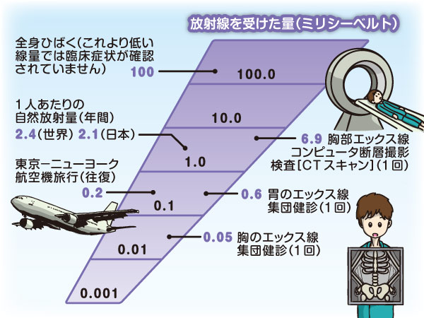 食品への放射線影響　その実態は？