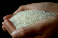 中国の農業専門家「中国の日本産米ブームは消費観の問題、品質面で大差ない」＝中国ネット「いいえ、安全観の問題」