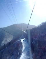 平昌五輪の分散開催「あり得ない」、組織委員長が発言＝韓国ネット「しょうもないプライドのせいで…」、日本ネット「選手の安全は考えないのか」