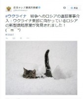 在日ロシア大使館が「新型戦略原潜が発見されました！」、載っていた写真は…＝「かわいい！」「真面目にやれ」と賛否―中国メディア