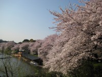 日本行きのビザ用紙が不足、そんなに日本旅行が人気なのか＝「どうりで日本人にばかにされるわけだ」「行かない理由がある？」―中国ネット