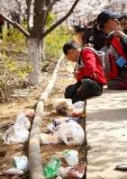 満開の桜が泣いている！中国人観光客のポイ捨てでせっかくの景勝地が無残な姿に―中国