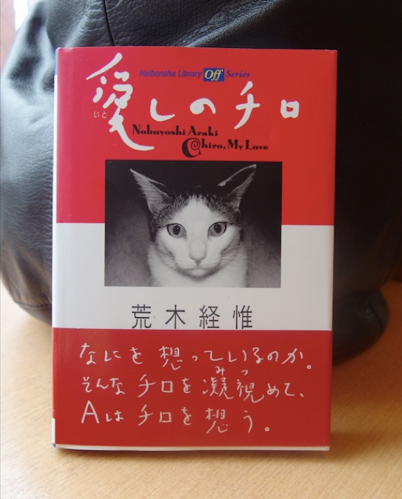 本日3月2日は写真家アラーキーの愛猫 “チロ” の命日 「始めはネコが好きじゃなかった」「一番気持ちが入って撮ったのはチロ」