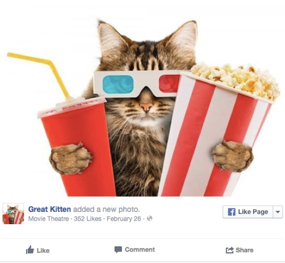 【世界初】ネコカフェならぬ『ネコ映画館』が誕生するとな!? ネコと戯れながら映画を見るなんて素敵じゃないか / しかもネコも保護できるよ！