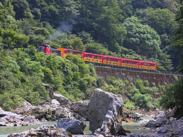 【桜を狙うなら今予約！】トロッコ列車で行く京都嵯峨野のローカルな旅