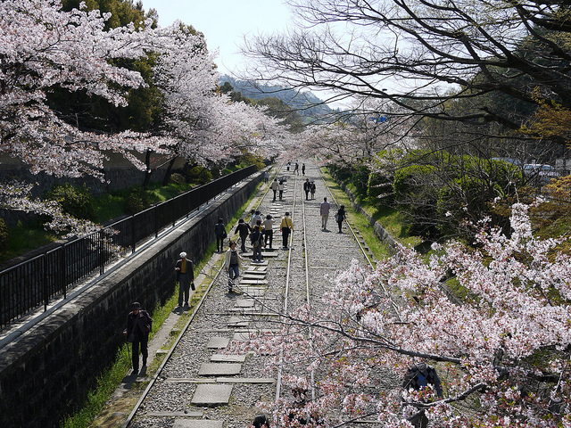 【京都】大人のお花見散歩に。哲学者が思索にふけった美しい小道