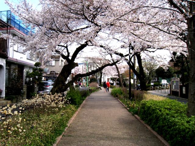 【都内】お花見散歩の穴場ルートも！桜や新緑を楽しむ目黒の散歩道5選