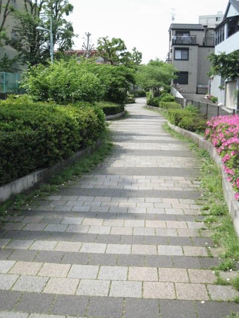 【都内】お花見散歩の穴場ルートも！桜や新緑を楽しむ目黒の散歩道5選