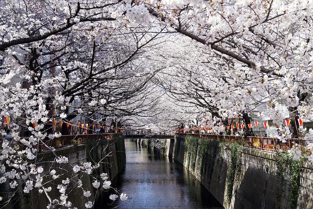 【都内】お花見散歩の穴場ルートも！桜や新緑を楽しむ目黒の散歩道5選