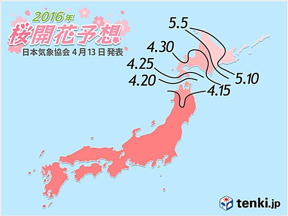 桜開花も明日朝は霜が降りる寒さ