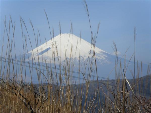 中国籍の女性３人がトラックにはねられ重傷、河口湖の富士山撮影スポットで