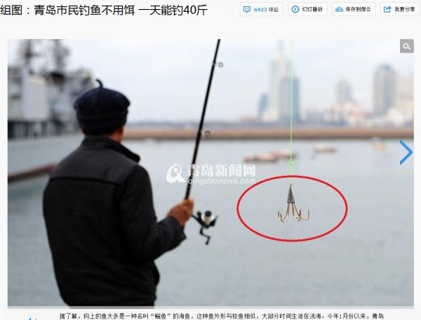 中国・青島の港にボラの大群、餌要らずで１日に２０キロ釣り上げる人も