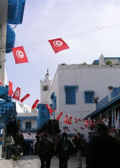 チュニジアの観光客襲撃事件、「イスラム国」が犯行声明―中国メディア