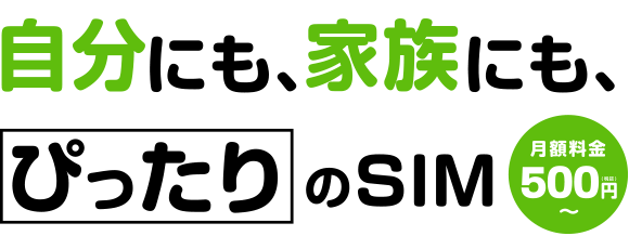 自分にも家族にもぴったりのSIM