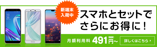 月額491円〜｜スマホとセットでさらにお得に！