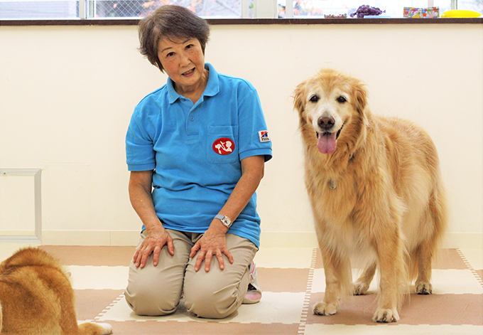 裁判で子どもを支える 付添犬 育成に主婦を導いた 愛犬たちとの出会いと別れ 年12月26日 エキサイトニュース 5 5