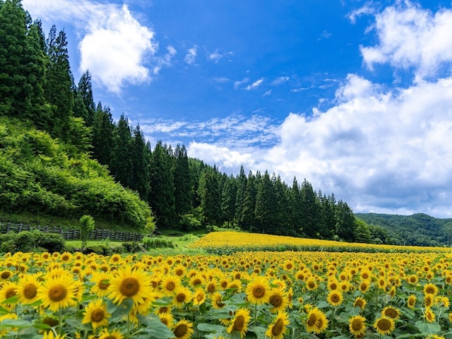 「桃太郎電鉄」で読み方が難しい駅名とは？