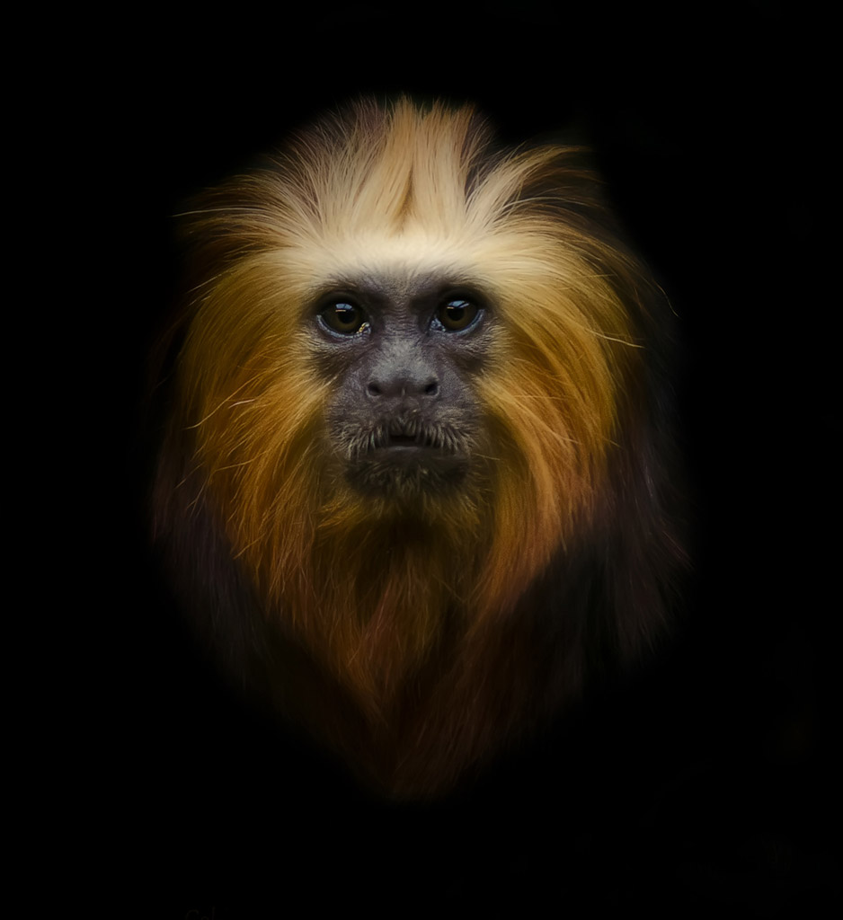 こんな男とは絶対結婚しない宣言 性欲に支配され 人間をやめた男 13年12月25日 エキサイトニュース