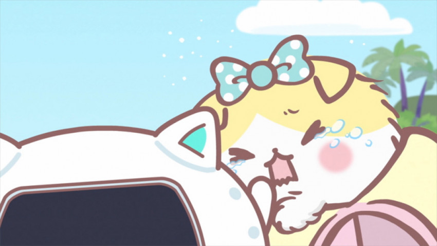 にゃんと 釣り上げたのは ばなにゃ 第6話のあらすじと先行カットをチェックだニャー 19年11月3日 エキサイトニュース