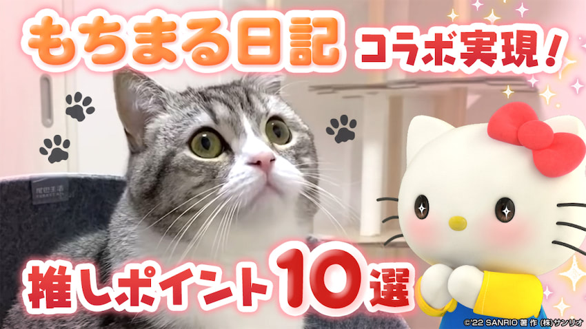 スーパー猫の日記念 キティが推し猫 もちまるをアツく語る 22年2月22日 エキサイトニュース